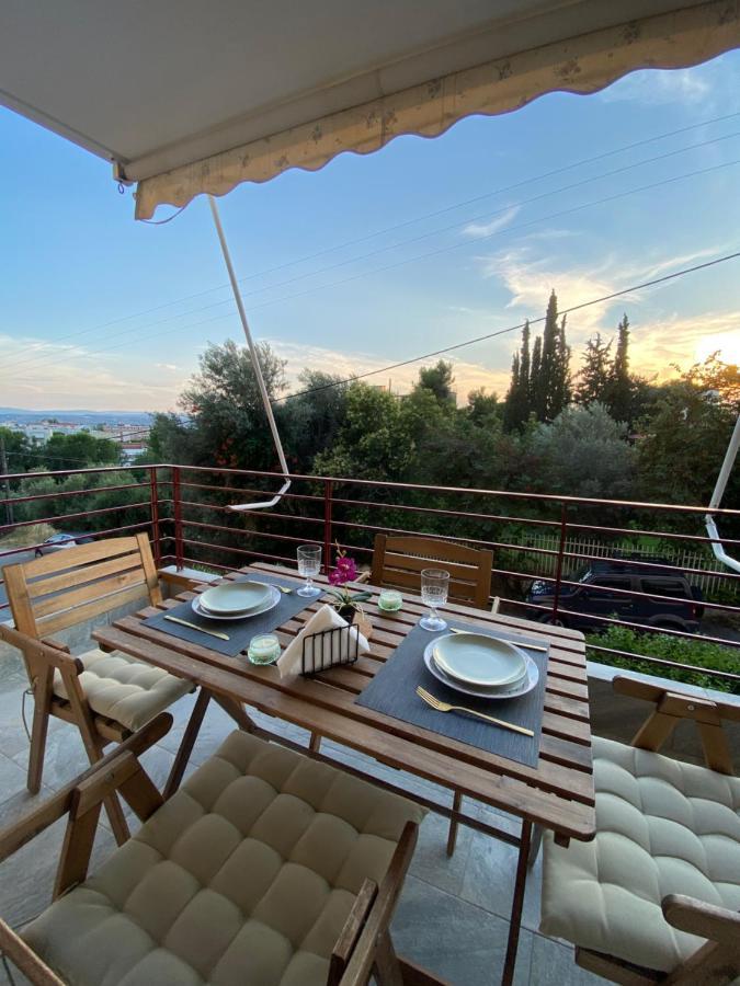 Cozy Flat Elix Apartment Lefkandi Chalkidas Exterior photo
